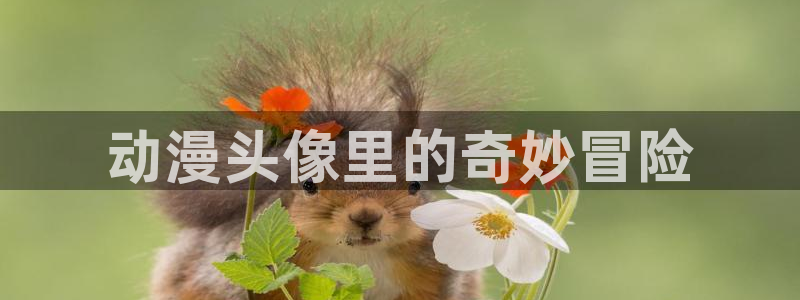 禁漫天堂jm网址：动漫头像里的奇妙冒险