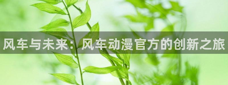 禁漫天堂从哪里下载：风车与未来：风车动漫官方的创新之旅