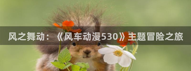 禁漫天堂cosav：风之舞动：《风车动漫530》主题冒险之旅