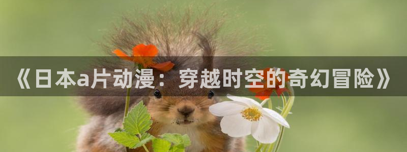 禁漫天堂免费在线：《日本a片动漫：穿越时空的奇幻冒险》