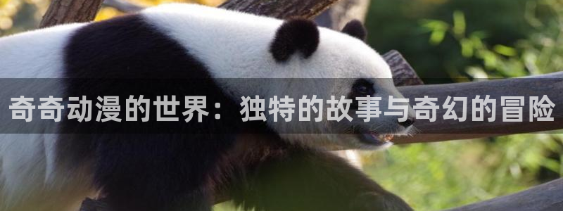 禁漫天堂址：奇奇动漫的世界：独特的故事与奇幻的冒险