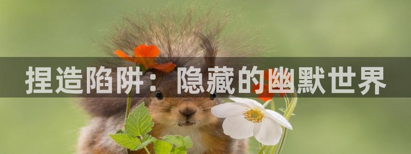 禁漫天堂下载.：捏造陷阱：隐藏的幽默世界